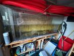 Aquarium 160x60x60 Gratis, Dieren en Toebehoren, Vissen | Aquaria en Toebehoren, Ophalen, Gebruikt