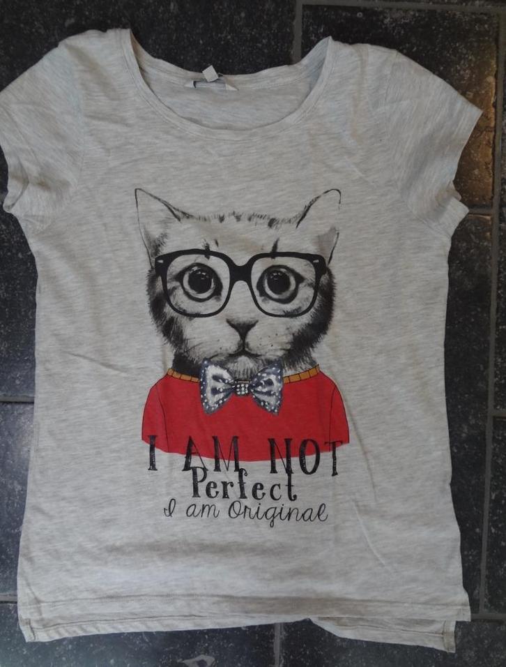 Shirt maat M, gemêleerd, afdruk poes erop, korte mouw. C&A, Kleding | Dames, T-shirts, Zo goed als nieuw, Maat 38/40 (M), Grijs