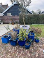 Set blauwe keramische sierpotten–diverse maten – tuin/terras, Ophalen, Steen, Rond, Zo goed als nieuw