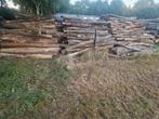 Brandhout - stamhout - kettingzaag hout - loofhout -rondhout, Tuin en Terras, Haardhout, Ophalen of Verzenden, Stammen