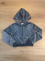 Grijs Velvet Jasje Meisje Maat 134/140 Nieuwstaat, Ophalen of Verzenden, Nieuw, H&M, Meisje