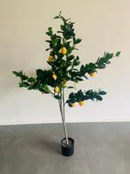 Kunstboompje citroenen., Gebruikt, Ophalen of Verzenden