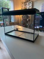 Juwel Rio aquarium 70 liter, Ophalen, Zo goed als nieuw, Leeg aquarium