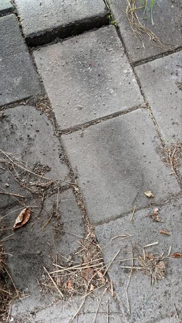 Stoeptegels a 30 m2 beschikbaar voor biedingen