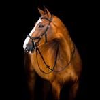 Horseware Micklem 2 Deluxe, Dieren en Toebehoren, Ophalen of Verzenden, Gebruikt, Overige soorten