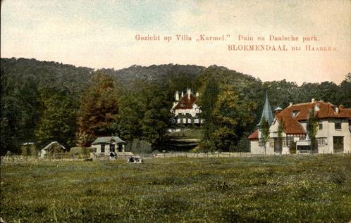 Bloemendaal Villa Karmel Duin en Daalsche Park koeien, Verzamelen, Ansichtkaarten | Nederland, Ongelopen, Noord-Holland, Voor 1920