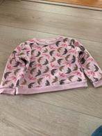 Trui maat 92 vogels, Zeeman, Gebruikt, Meisje, Trui of Vest