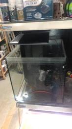 Qubiuq 60 zwart half jaar oud, Dieren en Toebehoren, Ophalen, Zo goed als nieuw