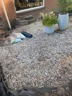 Gratis grond circa 2 kuub, Ophalen, Gebruikt, Wit, Overige materialen