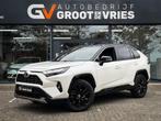Toyota RAV4 2.5 Hybrid Style Two Tone|Camera|Elek a klep|Sto, Stof, Gebruikt, Euro 6, 4 cilinders
