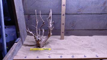 aquarium hout beschikbaar voor biedingen