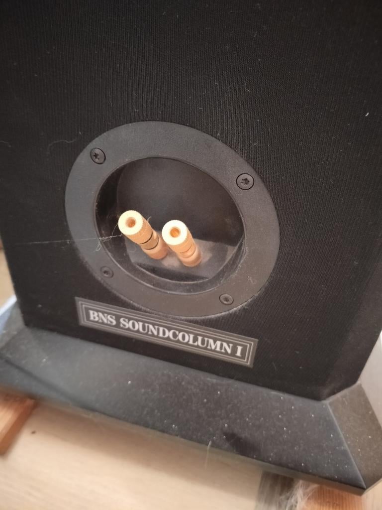 BNS Geluidsboxen Set, Gebruikt, Ophalen of Verzenden, 60 tot 120 watt, Sony