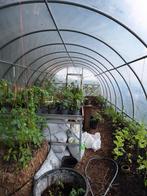 Tunnelkas tuinkas groot, Tuin en Terras, Kassen, Ophalen, Folie, Zo goed als nieuw, Staal