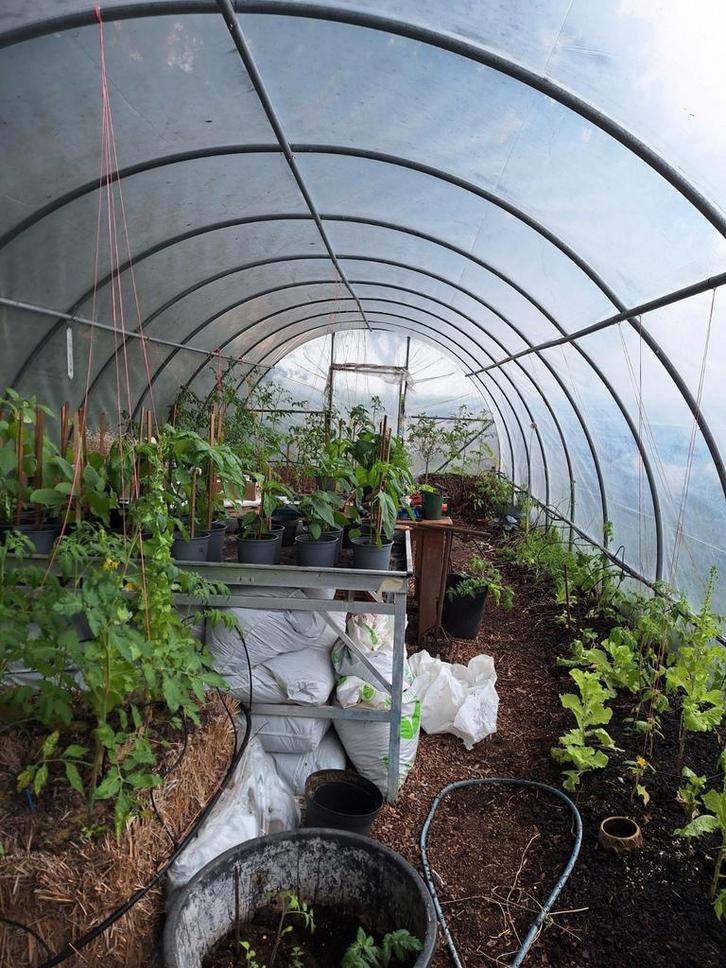 Tunnelkas tuinkas groot, Tuin en Terras, Kassen, Zo goed als nieuw, Staal, Folie, Ophalen