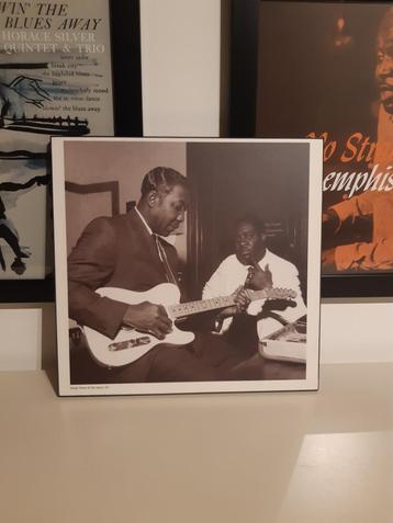 Muddy Waters & Otis Spann Foto