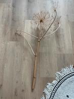 Gedroogde berenklauw van bijna 1 meter, Huis en Inrichting, Woonaccessoires | Droogbloemen, Ophalen, Zo goed als nieuw