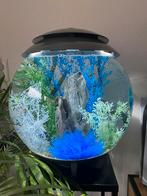 biorb 30l MCR + heel veel extra (uitgebreide set), Dieren en Toebehoren, Vissen | Aquaria en Toebehoren, Ophalen of Verzenden