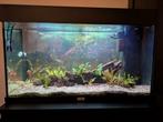 Juwel Rio 125 LED verlichting, Dieren en Toebehoren, Vissen | Aquaria en Toebehoren, Ophalen, Gebruikt, Gevuld zoetwateraquarium