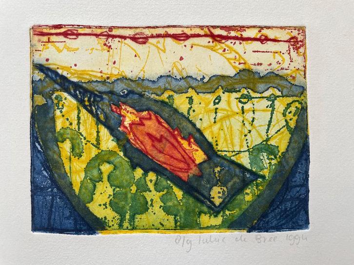 Prachtige kleurenets (12 x 16 cm) Lukie de Bree ets beeldend, Antiek en Kunst, Kunst | Etsen en Gravures, Ophalen of Verzenden