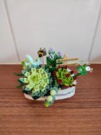 External flowers zelf bouwen
Is uit elkaar, Ophalen of Verzenden, Zo goed als nieuw