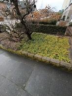 Stenen, gratis ophalen!, Ophalen, Gebruikt, Beton, Klinkers