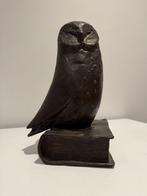 Bronzen beeld uil op boek (Ladislav Hlina), Antiek en Kunst, Ophalen of Verzenden