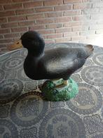 Kunststof eend, Ophalen, Gebruikt, Kunststof, Dierenbeeld