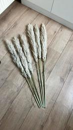 Pluimen 3 stuks van 90 en 3 stuks 1.10 lang zonder de vaas, Ophalen, Zo goed als nieuw