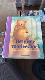 Het grote voorleesboek, Boeken, Kinderboeken | Jeugd | onder 10 jaar, Ophalen of Verzenden