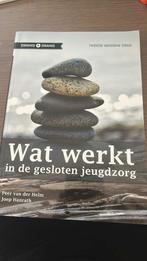 Wat werkt in de gesloten jeugdzorg, Ophalen of Verzenden, Zo goed als nieuw