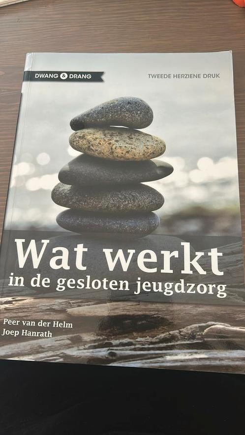 Wat werkt in de gesloten jeugdzorg, Boeken, Wetenschap, Zo goed als nieuw, Ophalen of Verzenden