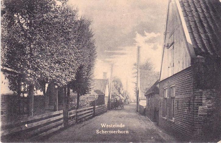 SCHERMERHORN WESTEINDE, Verzamelen, Ansichtkaarten | Nederland, Verzenden