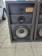 Audio Professional Monitor Loudspeaker 1978, Audio, Tv en Foto, Luidsprekers, Overige merken, Ophalen of Verzenden, E, E