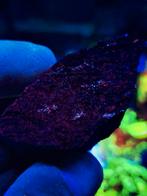 ZELDZAAM MARGAROSANIET, ZWEDEN (=UV), Ophalen of Verzenden, Mineraal