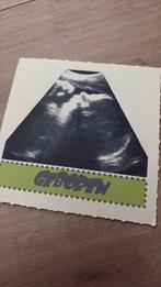 Latissa, Ophalen of Verzenden, 2000 tot heden