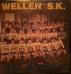 Gezocht: vinyl single van S.K. Wellen, Cd's en Dvd's, Vinyl Singles, Ophalen of Verzenden, Zo goed als nieuw, Nederlandstalig