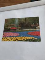 KEUKENHOF. LISSE, Ophalen of Verzenden, Sterren en Beroemdheden