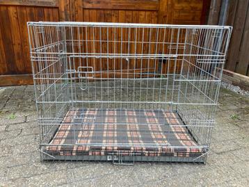 dierenaccessoires beschikbaar voor biedingen