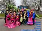 Carnavalskleding Loopgroep 18 volw 5 kind. Foam pruiken., Ophalen, Gedragen, Carnaval, Kleding