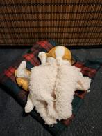 Kitten op kleedje, Ophalen of Verzenden, Nieuw, Dier