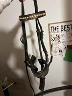 Hoofdstel cob, Ophalen, Dressuur