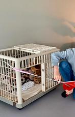 Beige luxe bench op wieltjes (met rem) Nieuw!, Dieren en Toebehoren, Ophalen, Nieuw