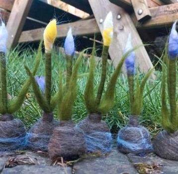Krokus van wol. Verschillende kleuren  beschikbaar voor biedingen