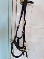 Equine trainingshalster blauw, Ophalen of Verzenden, Nieuw, Overige soorten