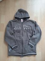 grijs vest, Ophalen of Verzenden, Zo goed als nieuw, Jongen of Meisje, Trui of Vest