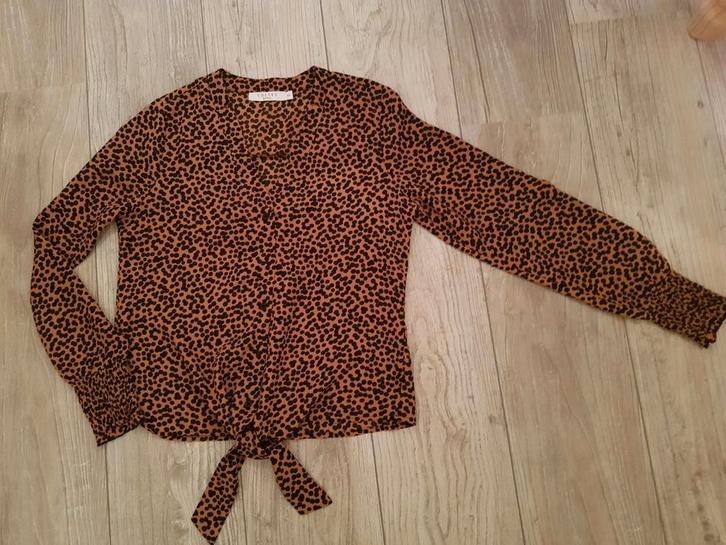 Bijzonder mooie blouse van Costes zwart cognac maat XS, Kleding | Dames, Blouses en Tunieken, Zo goed als nieuw, Maat 34 (XS) of kleiner