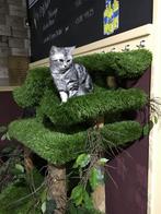 Super mooie stabiele krabpaal speelmeubel slaapplek, Dieren en Toebehoren, Krabmeubelen, Ophalen, Krabpaal