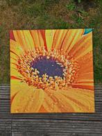 Canvas schilderij/print van zonnebloem, Ophalen