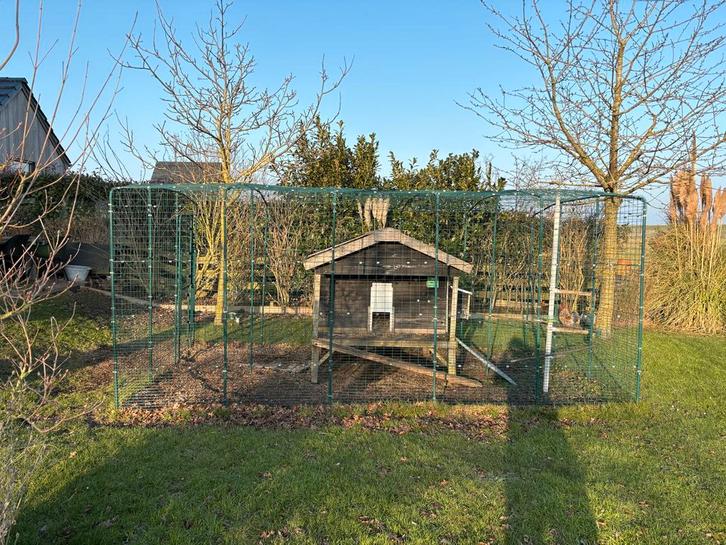 Omlet kippen inloopren, Dieren en Toebehoren, Pluimvee | Toebehoren, Kippenhok of Kippenren, Ophalen