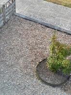 Houtsnippers 6x6m (Zelf ophalen), Tuin en Terras, Grind, Keien en Split, Ophalen, Overige materialen, Gebruikt, Bruin
